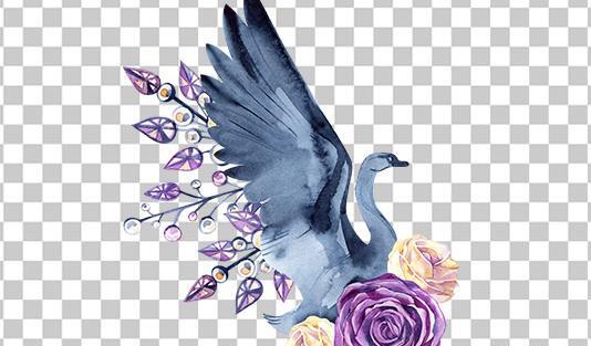 عکس png پرنده