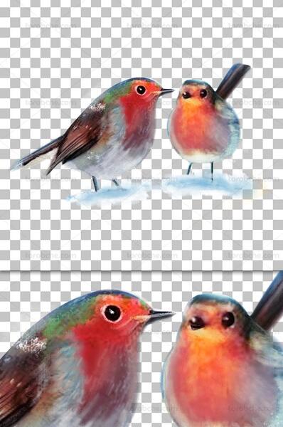 عکس png پرنده