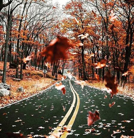 عکس پروفایل فصل پاییز دخترانه