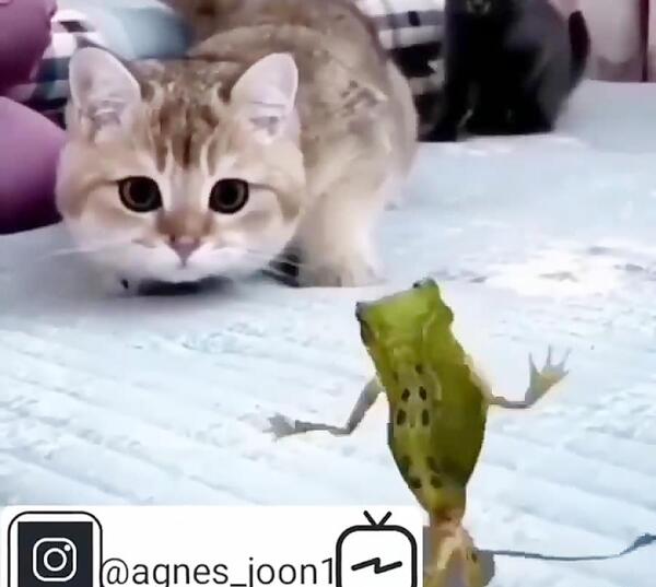عکس خاک تو سرم