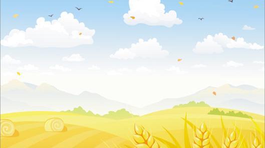 عکس گندم زار کارتونی