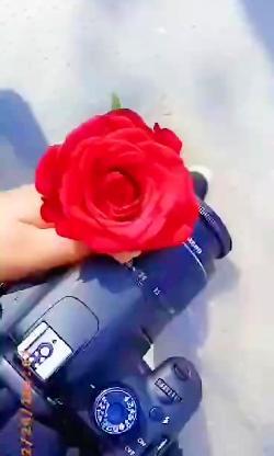 عکس دختر برای استوری فیک