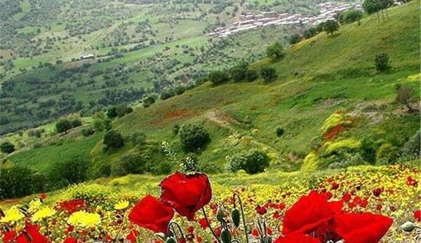 عکس از طبیعت یاسوج