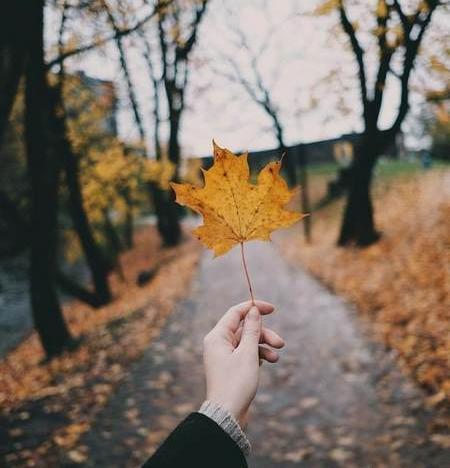 عکس برای وضعیت واتساپ پاییز