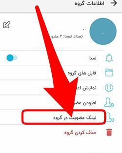 عکس گروه روبیکا
