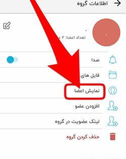 عکس گروه روبیکا