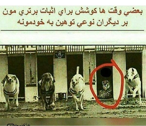 عکس برای وضعیت واتساپ اموزنده