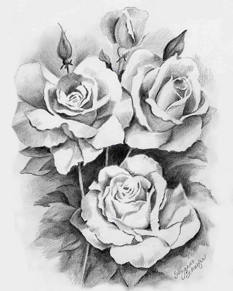 عکس قشنگ طراحی