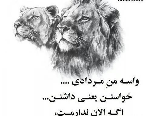 عکس پرچم مردادیا بالاست