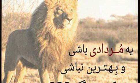 عکس پرچم مردادیا بالاست