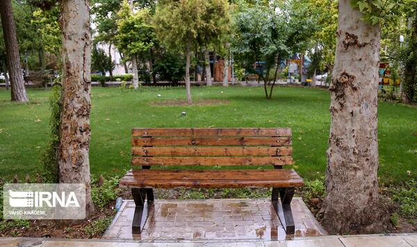 عکس خالی پاییزی
