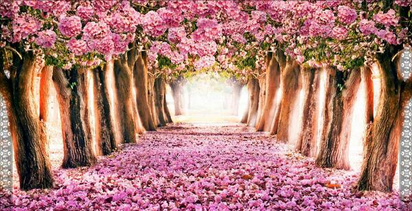 بهترین عکس طبیعت برای تصویر زمینه