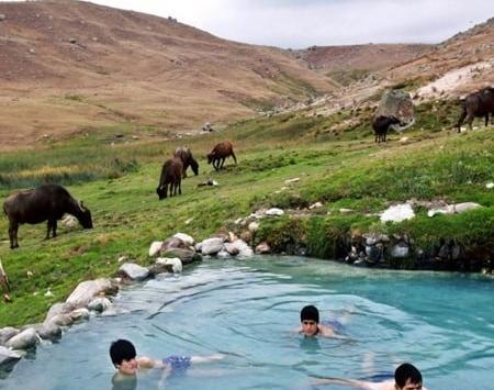 عکس دیدنی سرعین