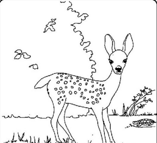 عکس نقاشی ضامن آهو کودکانه