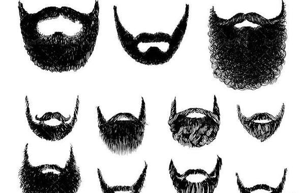 عکس وکتور ریش