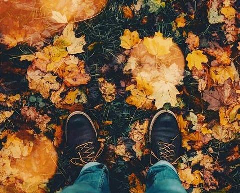 عکس پاییز پسرانه