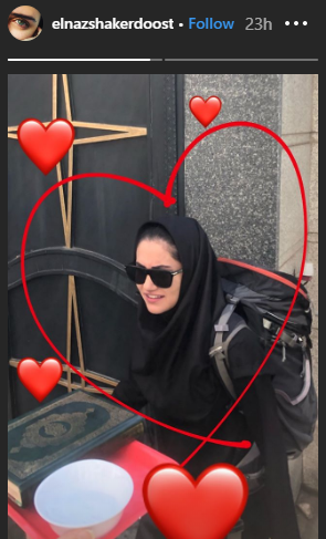 عکس خواهر الناز شاکردوست