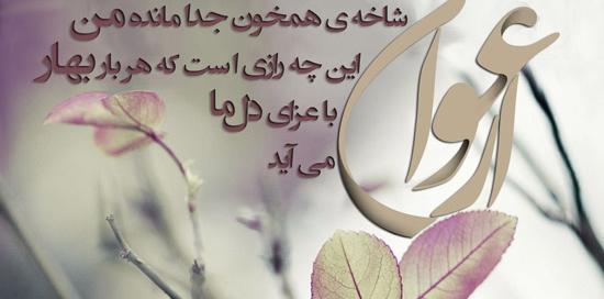 عکس پروفایل گل ارغوان