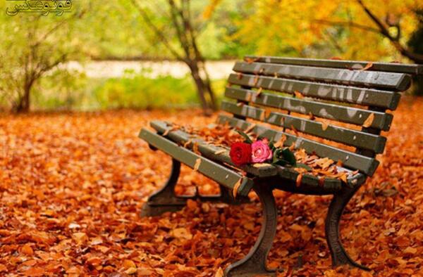 عکس خالی پاییز