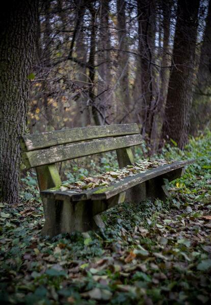 عکس خالی پاییز