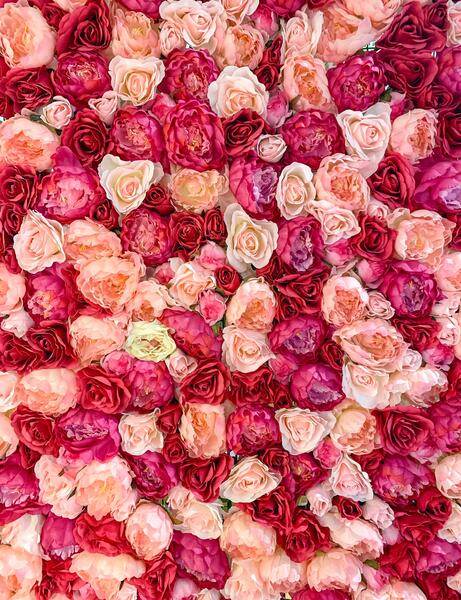 عکس تصاویر گل برای تصویر زمینه گوشی
