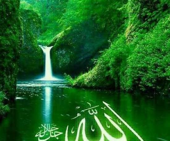 عکس پروفایل مردانه سن بالا