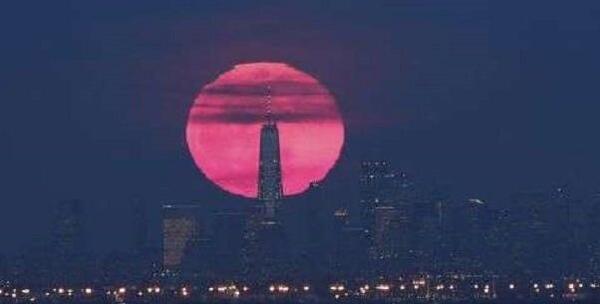 عکس ماه صورتی دیشب