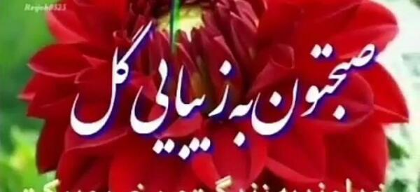 عکس وضعیت واتساپ صبح
