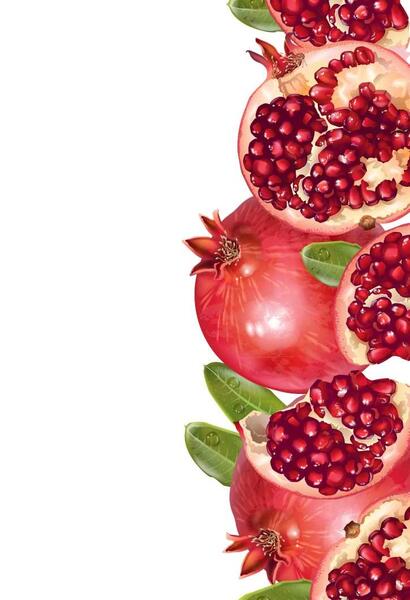 عکس دانلود وکتور انار