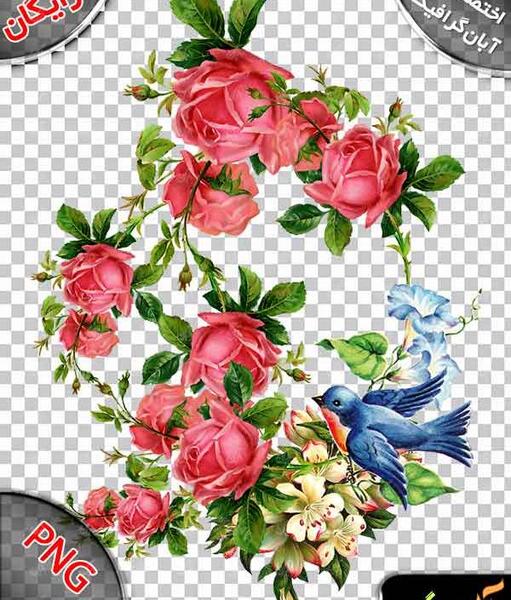 عکس وکتور گل و مرغ