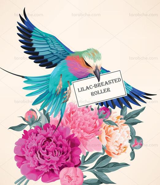 عکس وکتور گل و مرغ
