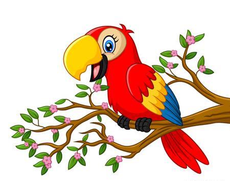 عکس وکتور طوطی