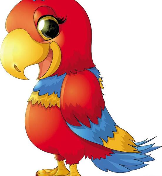عکس وکتور طوطی