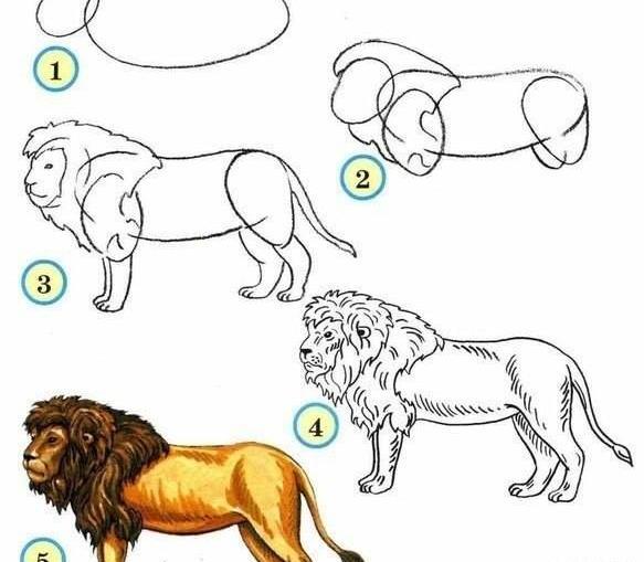 عکس نقاشی شیر نشسته