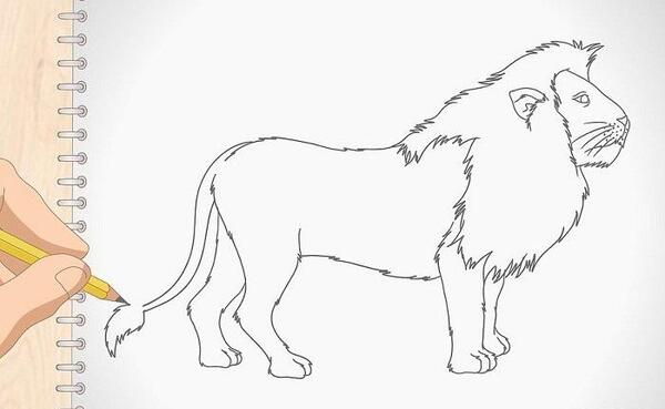 عکس نقاشی شیر نشسته