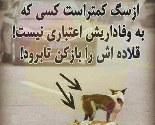 عکس پروفایل شوهر وفادار