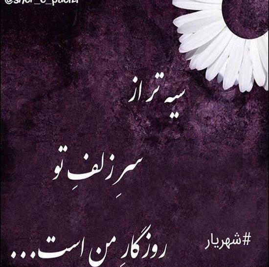 عکس و تصویر پر شاعری