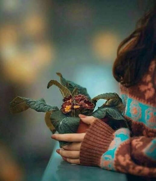 عکس پروفایل دخترانه زیبا بدون متن