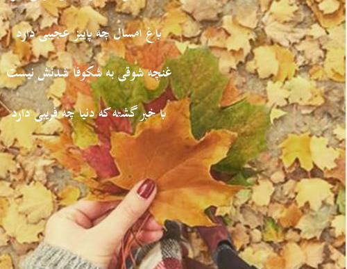عکس نوشته پاییز عجیبی ست