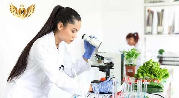 عکس ایده های صنایع غذایی