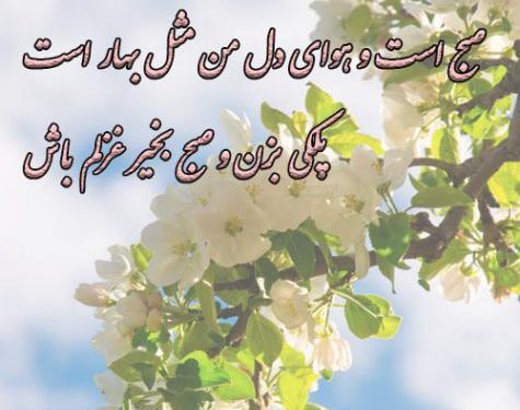 عکس بهاری صبح بخیر