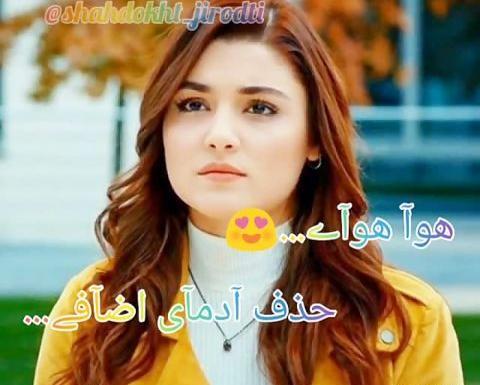 عکس شاخ هانده