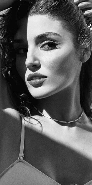 عکس شاخ هانده