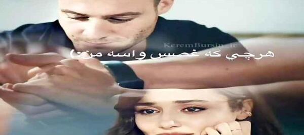 عکس شاخ هانده