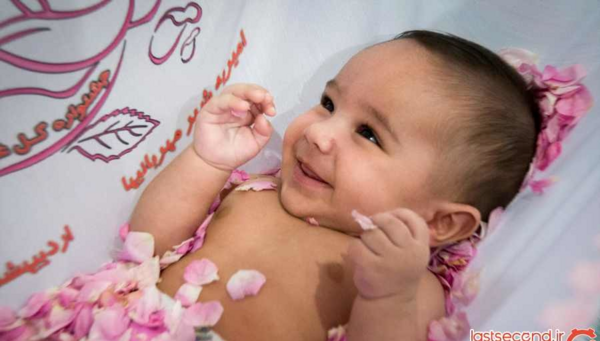 عکس ماهگرد با گل محمدی