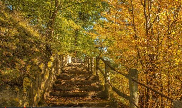 عکس پاییز آمل
