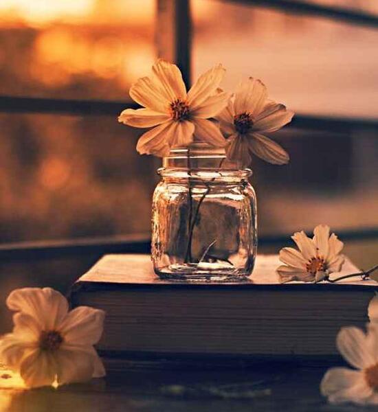 عکس پس زمینه شیک