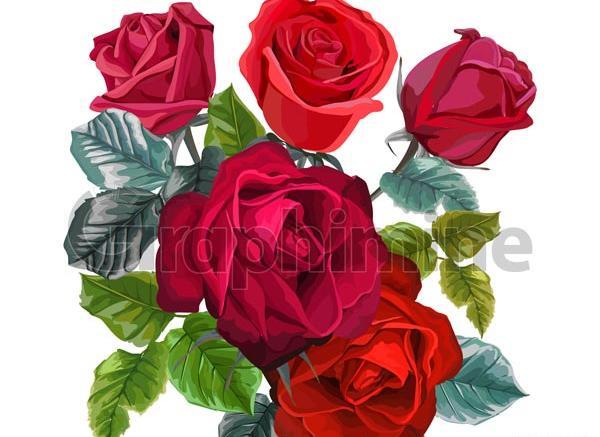 عکس وکتور گل