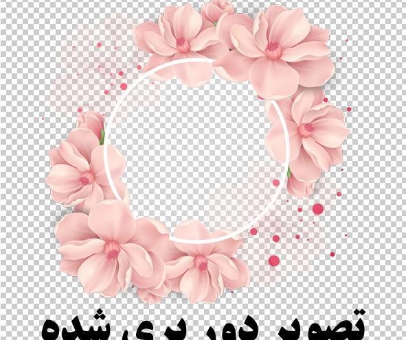 عکس وکتور گل