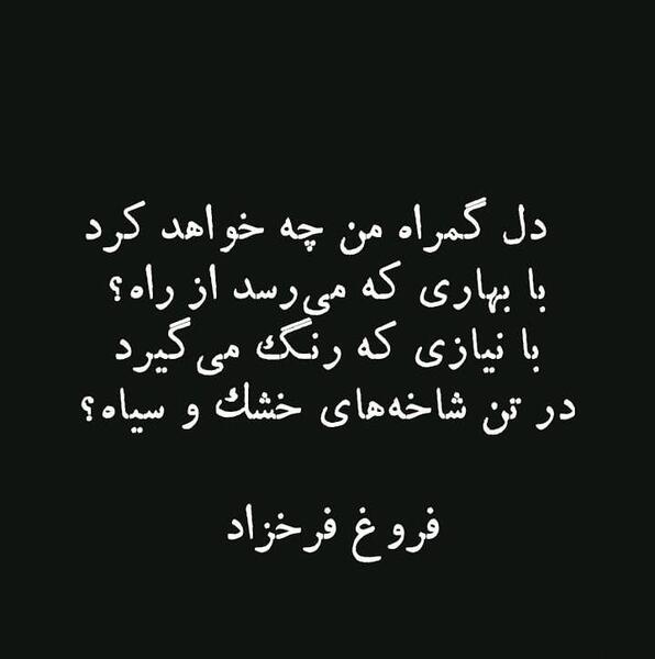 عکس نوشته های سیاسی فریدون فرخزاد